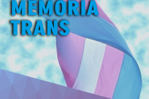 cartaz dia da memoria trans
